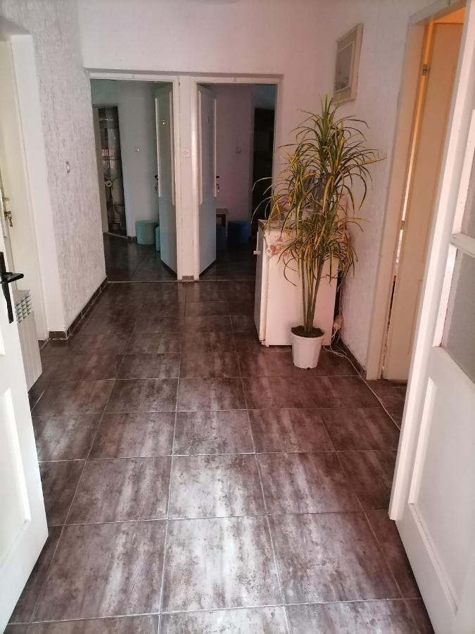 Smestaj U Okviru Domacinstva Sobe Sosa Palic Ngoại thất bức ảnh
