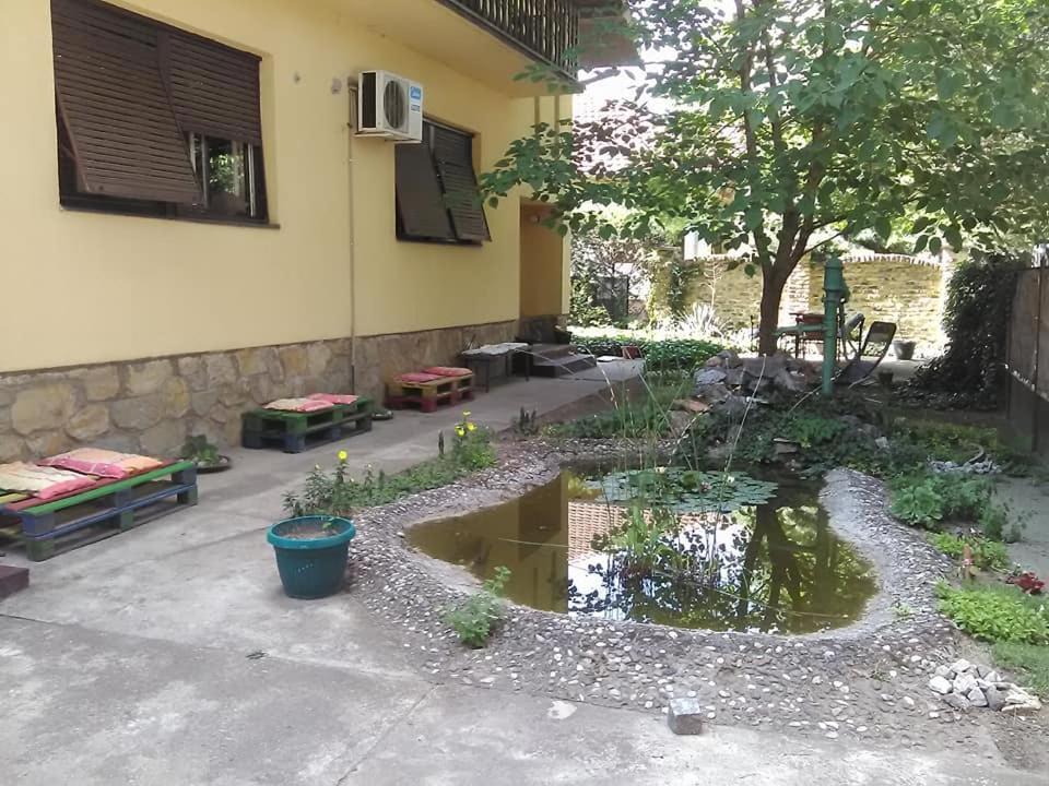 Smestaj U Okviru Domacinstva Sobe Sosa Palic Ngoại thất bức ảnh